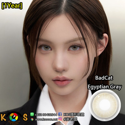 [1Year]I-DOL URIA BadCat Egyptian Gray 배드캣 이집션 그레이